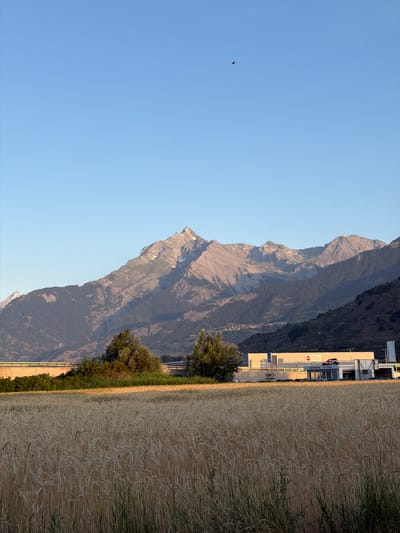 The image depicts a wide landscape scene with a field of wheat in the foreground. In the mid-ground, there is a modern-looking building complex with signage that includes "MARCHE DU MEUBLE" and "Self-Service 7 Jours". A small red car is visible on top of one of the structures. Behind the building complex, a highway overpass with concrete barriers and metal railings stretches across the frame. Further in the background, a range of mountains dominates the scene, with some peaks showing signs of snow. The sky is a clear, light blue, with a small dark shape, possibly a bird, visible in the upper portion of the frame. The lighting suggests it is either early morning or late afternoon, with a warm, soft light illuminating the landscape. The scene appears to be on the outskirts of Sion, Switzerland, given the context of a large building complex and the surrounding mountainous terrain typical of the region.