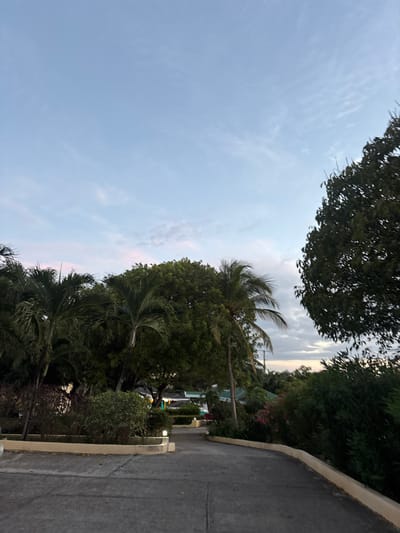 The image depicts an outdoor pathway within Olde Yard Village, British Virgin Islands, observed during twilight hours. A dark grey paved path, consistent with asphalt or concrete, extends from the foreground and curves gently to the right, receding into the midground. The path is bordered on both sides by raised, light-colored concrete or stone edges, in which small, illuminated light fixtures are embedded at intervals. Dense tropical vegetation, including numerous palm trees of varying heights and other broadleaf trees and bushes, lines both sides of the path and extends into the background, obscuring parts of the distant view. In the background, partially visible through the foliage, are multiple low-rise buildings featuring light-colored, possibly green or turquoise, roofs. A white vehicle, possibly a van or SUV, is discernible parked near one of these structures. The sky overhead exhibits a gradient of light blue, white, and faint pink clouds near the horizon. No individuals are present in the scene.