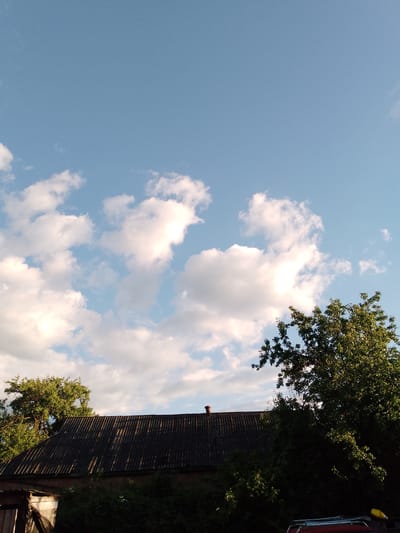 The image presents an outdoor scene dominated by a clear blue sky and scattered white cumulus clouds, suggesting fair weather and ample sunlight. The clouds are brightly illuminated, particularly from one side, indicating the sun's position.
Below the expansive sky, the dark, textured roof of a building, likely a house, spans across the frame. The roof appears to be constructed from corrugated material, possibly asbestos sheets or metal, exhibiting distinct parallel ridges and valleys. Sunlight catches parts of the roof, highlighting its texture and suggesting a late afternoon or early evening time of day due to the angle of illumination. A small, dark chimney or vent pipe is visible on the roof towards the right.
Lush green trees with dense foliage are prominent on both sides of the frame, their branches extending upwards into the sky and partially obscuring the lower portions of the building. The vibrant green leaves indicate a warm season. To the far left, a portion of a wooden structure, possibly a shed or outbuilding, is visible beneath the roofline. In the bottom right corner, a small section of a red vehicle, possibly a car or truck, is visible, topped by a small yellow object on what appears to be a roof rack.
No people are present, and no specific activity is occurring. The scene is a static landscape view. There is no visible text within the image. While not explicitly depicted in the image itself, the scene is situated in San Martín de Porres, Peru, portraying a tranquil residential or semi-rural setting.