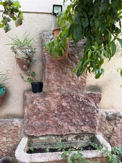 This is a close-up, eye-level, exterior shot of a rustic wall feature in Valdefresno, Spain. The scene is dominated by a rough, reddish-brown stone structure that appears to be a built-in planter or fountain base. It is set against a textured, pale yellow stucco wall.
Several potted plants are visible. To the left, a terracotta pot hangs on the wall, containing a trailing succulent and a spiky green plant. Below this, a black plastic pot holds a small green plant, resting on a lower ledge of the stone structure. To the upper right, a terracotta pot is embedded in a crevice of the stone structure, also containing green foliage. Overhanging from the top right is a branch with numerous green leaves and some small, unripe green fruits, possibly peaches or quinces, from a tree.
The stone structure has a rough, uneven surface, with various indentations and protrusions. The lower part of the stone structure forms a rectangular basin, partially filled with dark soil and small green seedlings. The basin itself appears to be constructed from a lighter, possibly granite-like, stone with a decorative edge.
An outdoor LED floodlight is mounted high on the stucco wall to the upper left of the frame. The overall impression is one of a garden or outdoor patio area. No people are present in the image.