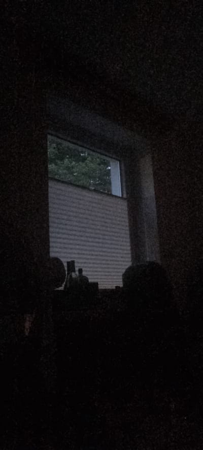 The image shows a dark, grainy view through a window from inside a dimly lit room. Outside the window, a light-colored building with horizontal siding is visible, partially obscured by lush green trees. The window itself has a white frame. In the foreground, silhouetted against the dim light from the window, are three indistinct objects that appear to be figures or statuettes on a surface. The overall impression is that of a domestic scene observed at dusk or during the night, with the exterior environment just becoming visible as ambient light increases. The specific location in the city of Oldenburg, Germany cannot be determined from the visual information provided.