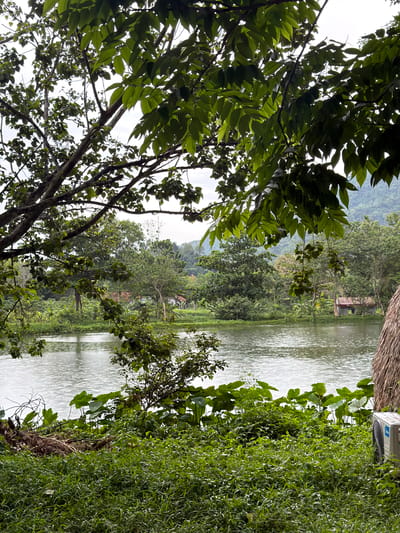 The image captures a serene lakeside scene in the city of Khánh Vĩnh, Vietnam. Lush green trees, with their branches laden with leaves, dominate the foreground, framing a tranquil body of water. The lake's surface is slightly rippled, reflecting the overcast sky. On the far bank, a cluster of diverse trees creates a natural backdrop, punctuated by glimpses of a small building with a red roof and another structure that appears to be a simple dwelling. The environment suggests a rural or semi-rural setting, possibly a park or a residential area near a natural water source. The overall impression is one of peaceful coexistence between nature and human habitation.