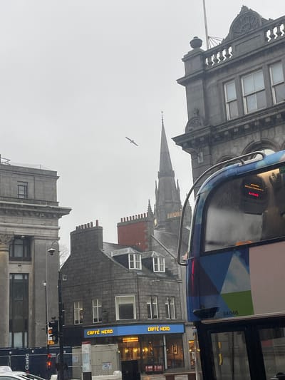 Captured from within a bus, the image depicts a street scene in Aberdeen City, United Kingdom. The overcast sky casts a muted light on the grey stone buildings lining the street. A soaring bird is visible against the sky. In the foreground, a portion of the bus interior is visible, including the bus number "84046", a blurred bus destination sign and a reflection on the window, alongside the exterior urban landscape. On the street, a Caffe Nero sign is attached to a building, indicating the presence of the coffee shop chain, along with traffic lights. The gothic spire of a church rises above the rooflines of the surrounding buildings, giving a sense of the city's architectural history. A traffic signal can be seen with red lights on.