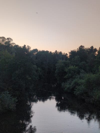 This is a medium shot, vertical, eye-level, outdoor photograph of a calm body of water reflecting the dark silhouettes of lush green trees on either side. The water occupies the bottom half of the frame, with a gentle ripple effect and some small disturbances on its surface. The trees, dense and dark, line the banks, with their branches reaching upwards and outwards, creating a natural canopy. Above the trees, the sky is a soft, muted gradient of pale pink and orange, suggesting either dawn or dusk. A few faint specks are visible in the sky, possibly dust motes or distant insects. The scene is serene and appears to be located in a natural, undeveloped area, consistent with a rural or park-like setting, such as the посёлок Молочной фермы, Russia, which is known for its natural landscapes. There are no people or animals visible in the frame.