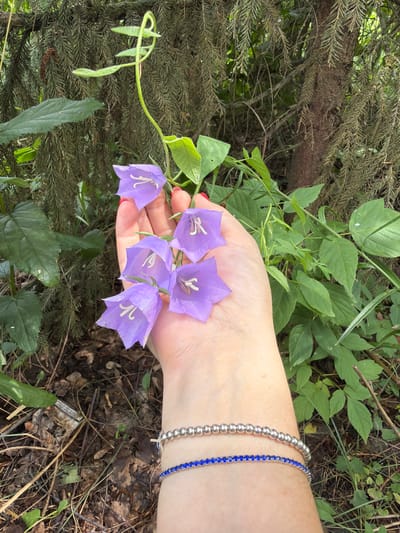 A close-up, waist-up shot captures a left hand adorned with two bracelets, one silver beaded and one with blue stones, holding several purple bellflowers. The hand is positioned in front of a backdrop of lush green foliage and tree bark. The background also features dry leaves and twigs scattered on the ground, suggesting an outdoor, possibly forest or garden setting. There are no discernible city landmarks or specific identifiers to place the location within Субханкулово, Russia. The lighting indicates daylight, and the image appears to be taken at eye level.