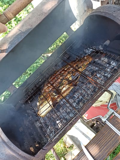 The image depicts a whole fish, likely a carp due to its shape and visible scales, being grilled on a metal grate over charcoal. The fish appears to be seasoned with herbs, possibly dill, and is showing signs of being cooked, with some charring on its skin. The grill is situated within a rustic, outdoor barbeque setup, possibly a repurposed metal drum or cylinder, suggesting a casual cooking environment. The surrounding environment is outdoors, with visible greenery, indicating a possible backyard or park setting. A hand is visible in the upper left corner, potentially adjusting the grill or handling the cooking process. The overall scene conveys a sense of outdoor cooking and food preparation. The specific location of Kniazhdvir, Ukraine, is not discernible from the visual elements of the image alone.