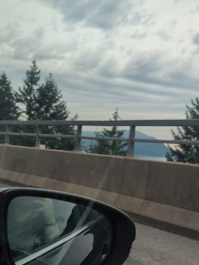 The image depicts a panoramic view from a moving vehicle on an elevated roadway overlooking Shuswap Lake, situated within Electoral Area A of the Columbia Shuswap Regional District, British Columbia, Canada.
In the lower-left foreground, the black housing and reflective surface of a vehicle's passenger-side mirror are prominently displayed. The mirror contains a blurred reflection of a human hand or arm, possibly holding a device, along with indistinct interior elements of the vehicle. A linear crack or scratch is visible across the lower portion of the mirror.
Horizontally bisecting the midground is a grey concrete road barrier, approximately half the height of the vehicle's window line. Above this barrier, a grey metal guardrail, constructed from horizontal and vertical bars, extends across the frame.
Beyond the barrier and guardrail, a dense array of evergreen trees dominates the landscape, descending towards a large body of water identified as Shuswap Lake. Distant mountains or significant hills are visible on the far side of the lake. The sky is completely overcast with multiple layers of grey clouds, suggesting subdued lighting conditions.
No individuals are directly visible in the external scene; the only human presence is the partial reflection in the side mirror. The scene captures a moment of travel through a mountainous, forested lake region.