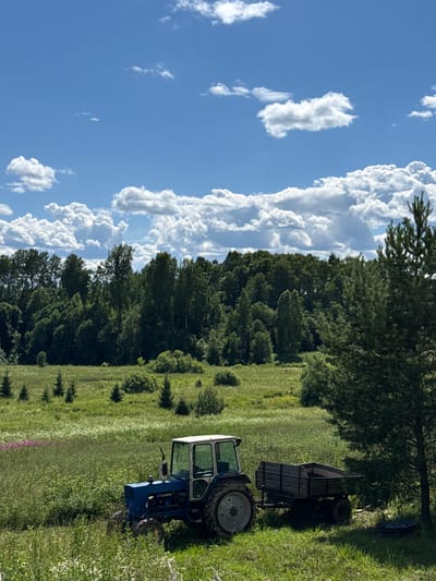The image depicts a blue tractor with an attached trailer parked in a grassy field with trees in the background under a bright blue sky with fluffy white clouds. The scene appears to be a rural or agricultural setting, possibly in Sholokhovo, Russia, given the location context. The sun is shining, suggesting it's daytime, and the weather seems clear and pleasant. The grass is tall and green, with some wildflowers visible. The tractor is facing away from the camera, and its doors are open. The trailer is empty. There is no visible text in the image. The overall mood is serene and peaceful, evoking a sense of rural tranquility.
