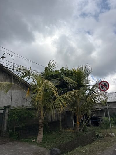 The image depicts an outdoor scene with a slightly overcast sky. In the foreground, a paved surface is visible, leading to a grassy area with a low retaining wall. Two palm trees with sparse fronds stand prominently in the middle ground, with lush green foliage behind them. To the left, a grey corrugated metal building with a sloping roof is partially visible. A street lamp on a pole with electrical wires extends across the upper portion of the frame. To the right, a circular traffic sign with a red border and a diagonal red bar over two arrows indicates a no-passing zone. Further in the background, more buildings with corrugated roofs are visible. The overall impression is of a rural or suburban street scene in Bangli, Indonesia, characterized by its tropical vegetation and utilitarian architecture. There are no people or animals visible in the frame.