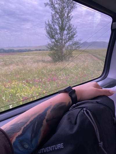 An indoor, eye-level, medium shot captures a passenger's arm resting on a black backpack inside a vehicle, with a view of a pastoral landscape through the window. The passenger's left arm is visible from the elbow down, adorned with a large, colorful tattoo of an eye and abstract blue and red shapes. A black smartwatch is worn on their wrist. Their right hand, with long, manicured nails, rests on top of the backpack, a silver ring visible on one finger. The backpack, a dark fabric, sits in the foreground, partially obscuring the passenger. The window displays a vast, grassy field dotted with small pink and yellow wildflowers. In the distance, a lone, mature tree stands tall against a backdrop of rolling hills and a cloudy, pale purple sky. A dirt road winds its way through the field. The scene is indicative of a scenic drive through the countryside, likely in the region of Petrovskoye, Russia, given the landscape.