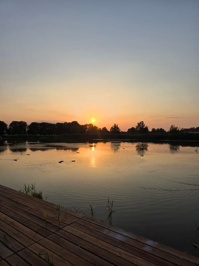 This is a vertical, outdoor, full shot taken at sunset. The scene depicts a tranquil body of water with a silhouette of trees along the far bank, reflecting the warm hues of the setting sun. Several birds are visible on the water, creating ripples. In the foreground, a wooden pier or boardwalk runs diagonally from the bottom right corner, with reeds growing along its edge where it meets the water. The sky transitions from a soft orange and yellow near the horizon to a pale blue higher up, indicating the end of the day. The overall mood is peaceful and serene. The location is Holíč, Slovakia.