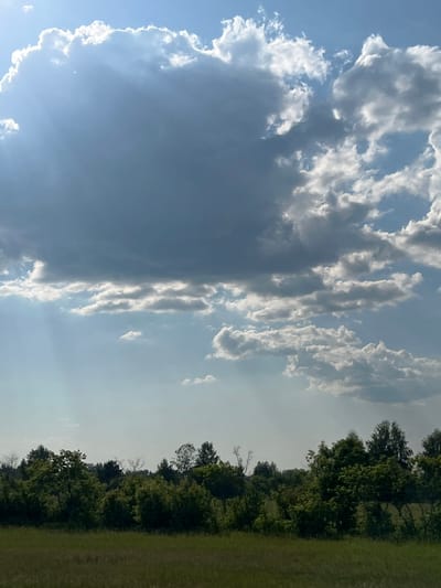 This is a landscape photograph taken outdoors in Verkh-Tula, Russia. The image is oriented vertically and shows a cloudy sky dominating the left side of the frame, with a line of trees and a grassy field on the right. The clouds are varied, with some appearing dark and heavy, suggesting potential rain, while others are bright white and wispy, catching the sunlight. The sky is a pale blue, hazy in some areas, indicating it might be midday or late afternoon. The trees are dense and green, forming a natural border along the edge of the field. The field itself is covered in green grass, appearing slightly dry in places. The overall mood is serene and natural, capturing a moment of an outdoor environment with dynamic cloud formations. There is no visible text or people in the image.