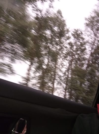 The image is a motion-blurred photograph taken from inside a vehicle, looking out a window. The background is dominated by the indistinct shapes of evergreen trees, suggesting a forested or park-like environment. The sky appears overcast and bright. In the foreground, the dark interior of the car is visible, including a portion of the door panel and a chrome-finished door handle. A dark fabric, possibly a jacket or blanket, is draped over the back seat. The image does not provide enough detail to determine the specific location within Muktupāveli, Latvia, but the presence of evergreen trees is consistent with the Latvian landscape. No people or specific actions are discernible due to the blur.