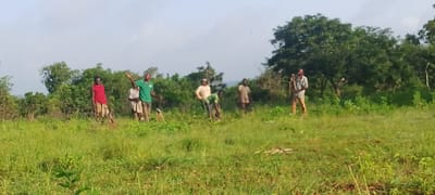 The image shows a group of six people in a grassy, overgrown field with trees and vegetation in the background. The sky is bright and overcast. The people appear to be engaged in agricultural work. From left to right:
1. A person in a red shirt and light-colored bottoms is standing, facing the camera, with their right arm raised.
2. A person in a bright green shirt and dark pants is standing and gesturing with both arms. They appear to be speaking or directing.
3. A person in a light-colored shirt and dark pants is standing to the left of the person in green.
4. A person in a tan shirt and light pants is standing and looking towards the right.
5. A person in a green shirt is bent over, appearing to be working on the ground.
6. A person in a light-colored shirt and brown pants is standing and holding what appears to be a snake by the tail.
The environment is rural and undeveloped, with scattered vegetation and no visible structures. The lighting suggests it is daytime, possibly morning or late afternoon. The overall impression is of people working outdoors in a natural, uncultivated setting.