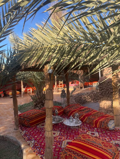 A vibrant outdoor scene unfolds under a clear blue sky. Palm fronds fill the left frame, framing a cozy seating area. Patterned cushions adorn a reddish-orange rug, centered with a silver tea set. Beyond, a terracotta structure reveals glimpses of an indoor dining space with orange seating. The area is further decorated with hanging lanterns and earthy tones.