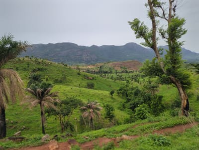 The image depicts a landscape in Kaninkon, Nigeria, under an overcast sky. A range of mountains is visible in the background. In the foreground and midground, rolling green hills are covered in vegetation, including grasses, shrubs, and trees, specifically palm trees. A dirt path or road is visible in the lower right corner, suggesting a travel route through the area. The scene appears rural and natural.