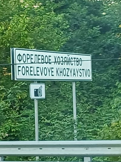 A sign in the city of Kazachiy Brod, Russia, indicates "Forelevoye Khozyaystvo" which translates to "Trout Farm". The sign has two lines of text; the top line is in Russian Cyrillic script, and the bottom line is in Latin script. Below the sign, there is a smaller square sign depicting a camera icon with a flash, suggesting that photography is permitted or that there is a surveillance camera present. The signs are mounted on a metal pole, and a white metal guardrail is visible in the foreground. The background consists of dense green foliage, likely trees and bushes, typical of a rural or natural setting.
