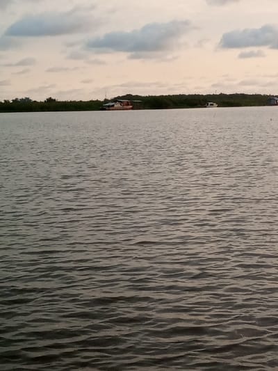 The image presents a wide view of a body of water, likely a river or a large lake, situated in Akoko, Nigeria. The foreground and mid-ground are dominated by dark, rippling water exhibiting small, uniform waves across its surface. In the distant background, a dense line of green vegetation, consistent with a treeline or shoreline foliage, stretches horizontally across the frame.
Along this distant bank, three primary objects are discernible on or near the water. To the left, a light-colored vessel, possibly a house-boat or a motor cruiser with a cabin, is moored close to the vegetation. It features a visible superstructure or canopy. Further to the right of this vessel, a smaller, white boat is partially visible against the green background, appearing to be either docked or partially obscured. Towards the far right edge of the frame, another small, dark structure, potentially a hut or a very small boat, is present near the waterline. Two slender, dark poles or markers emerge from the water surface in the mid-distance, to the right of the prominent light-colored boat.
The sky is overcast with a blanket of grey and off-white clouds, indicating diffused lighting conditions. No human figures or active interactions are visible within the scene.