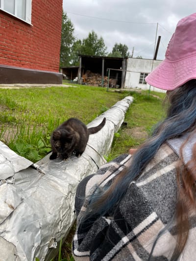 In a rural outdoor setting, a tortoiseshell cat is perched on a large, foil-wrapped pipe that runs horizontally across the foreground. The cat is dark brown and black with some lighter markings on its face. In the right foreground, the back of a person wearing a pink bucket hat and a black, white, and tan plaid shirt is visible. The person's hair has streaks of blue and brown. The background shows a red brick building with a white-trimmed window on the left, a wooden structure containing stacked firewood, and a light-colored building with windows in the distance. Green grass covers the ground, and the sky is overcast. The scene appears to be in the village of Baldeyka, Russia.