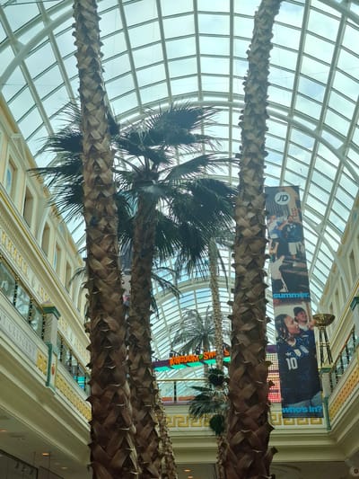The image depicts the interior of a large, modern shopping center, likely the Trafford Centre in Trafford, United Kingdom, given the architectural style and the presence of large palm trees. The most prominent features are several tall, thick palm trees with textured, brown trunks, extending upwards towards a vast, curved glass roof. The roof is supported by a white, grid-like framework, allowing natural light to filter through.
On the right side of the image, a large vertical banner hangs from the upper levels of the shopping center. The banner displays the "JD" logo at the top, followed by images of people, likely athletes or models, associated with sports apparel. Below these images, the word "summer." is visible, and further down, the text "who's in?".
On the left side, architectural details of the shopping center are visible, including cream-colored walls with ornate golden trim and decorative arches. Balconies or upper-level walkways are also apparent, with glass railings. A sign is partially visible on the left, reading "NT CRESCENT".
In the background, further into the shopping center, a brightly lit sign with green lettering that appears to say "KINGDOM OF SWEETS" is visible.
The scene is brightly lit, suggesting daytime, and the overall impression is one of a spacious, well-appointed retail environment designed to evoke a sense of grandeur and perhaps a tropical atmosphere with the inclusion of the palm trees. No people are clearly identifiable or engaged in specific actions, though the banner implies the presence of people in promotional imagery. The environment is clean and orderly, typical of a commercial retail space.
