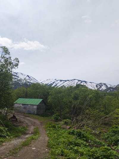 This is a full, eye-level, outdoor, medium shot photograph taken on a cloudy day. The image depicts a rural landscape with a small, weathered building in the foreground. The building, appearing to be a shed or a small cabin, has a corrugated metal roof in a vibrant green color and its walls are constructed of what appears to be concrete blocks and possibly sheet metal or tarpaulin. A dirt path leads away from the structure and curves into the surrounding vegetation. Lush green trees and undergrowth dominate the midground, with some fallen branches and debris visible on the ground. In the background, snow-capped mountains rise against the hazy sky, indicating a location at a higher elevation or a season where snow persists on peaks. The overall impression is one of a remote, possibly abandoned, or sparsely populated area, consistent with the outskirts of a town like Termal'nyy, Russia, known for its volcanic and mountainous terrain. There are no people or animals visible in the frame.