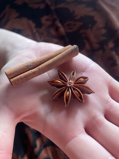 A close-up shot shows a person's hand holding a cinnamon stick and a star anise. The hand is pale pink and appears to be that of an adult. The cinnamon stick is positioned horizontally on the palm, while the star anise is to its right, with its pointed lobes spread out. The background is a dark, patterned fabric. The scene is not located in Gerstheim, France; it is a general still life image.