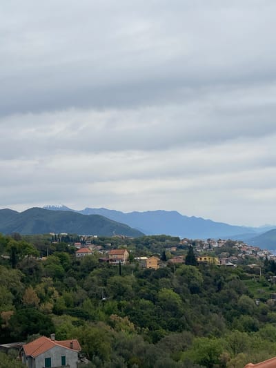 This image shows a mountainous landscape in Trebesin, Montenegro, with a partial view of a settlement nestled among the lush green trees. The sky is overcast with cloudy formations. Mountains are visible in the background, fading into the distance with a bluish hue. Buildings with red-tiled roofs are scattered throughout the green landscape, suggesting a residential area. One house appears in the foreground.