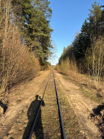The image depicts a set of parallel train tracks stretching into the distance, flanked by trees and undergrowth. The location is Дзітвянскі сельскі Савет, Belarus. The sky is a clear blue. A shadow of a person is visible on the ground near the tracks. The vegetation on either side of the tracks consists of both bare branches and evergreen trees. The ground is dirt and sparse grass.