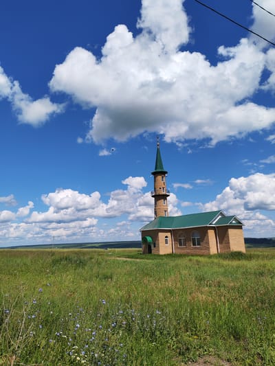 An outdoor, full shot captures a mosque with a minaret situated in a grassy field. The mosque is constructed from light brown bricks with a green roof. The minaret, also green-capped, features several levels with small windows. The field in the foreground is covered in tall green grass with scattered small blue and white wildflowers. In the background, a distant landscape of rolling hills is visible under a bright blue sky filled with fluffy white clouds. Power lines are visible in the upper right corner of the image. The overall scene depicts a serene, rural setting.