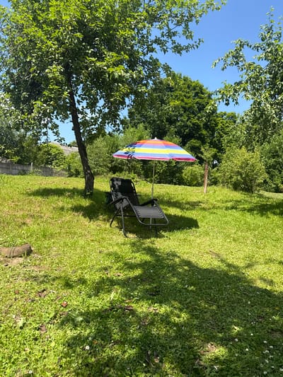 A sun-drenched backyard in Гаранскі сельскі Савет, Belarus, features a black reclining lounge chair positioned under a colorful rainbow umbrella. The chair is situated on a lush, green lawn dotted with small white flowers. Behind the chair, a tree casts a shadow across the grass. In the background, a concrete fence borders the property, and beyond that, dense green foliage and trees create a natural backdrop under a clear blue sky. The scene is tranquil and evokes a sense of outdoor leisure.