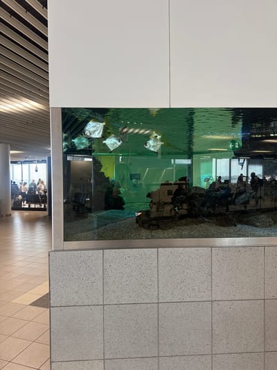 The image displays an indoor scene featuring a large, rectangular aquarium integrated into a modern building design. Within the aquarium, several flat, silver-bodied fish, possibly Monos, are swimming. The water in the tank appears a pale green. The aquarium's interior is adorned with dark, rocky structures.
Reflected in the glass of the aquarium, and visible through it, are blurred figures of people seated at tables in an adjacent area, suggesting a dining space, lounge, or waiting area. A small green "exit" sign with a downward-pointing arrow is discernible among these reflections.
To the left of the aquarium is a plain white wall panel. To the right, a light grey tiled floor with dark speckles extends across the frame. Below the aquarium, reflections show more people and an area with a patterned floor or ceiling. The lighting suggests a bright, well-illuminated daytime interior. The overall impression is one of a clean, contemporary public or commercial space in Aalsmeerderbrug, Netherlands, where the aquarium serves as a prominent decorative feature. The primary activity depicted is the serene swimming of the fish, while the reflected people appear to be stationary.