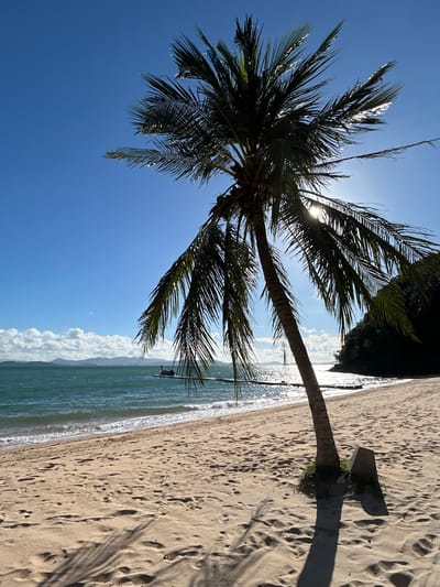 The image depicts a tropical beach scene in Ban Khlong Hia, Thailand, under a clear blue sky. A lone palm tree stands prominently on the sandy beach, its fronds reaching towards the sun. The sun is positioned behind the palm tree, creating a lens flare effect and casting dappled shadows on the sand. The turquoise ocean meets the shore with gentle waves, and a distant boat is visible on the water. Lush green vegetation covers a hillside in the background, adding to the serene, natural environment. The sandy shore is marked with footprints and scattered debris, suggesting recent activity.