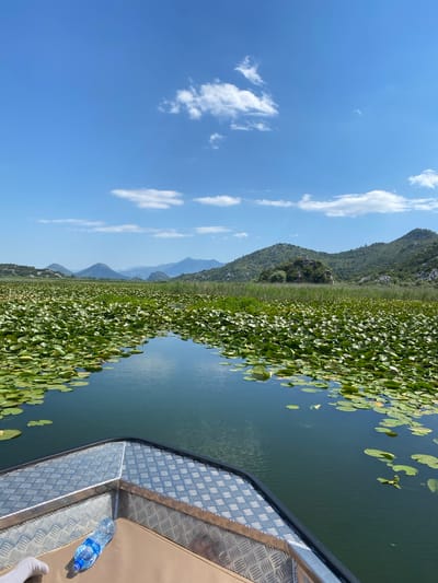 The image shows a scenic view from a boat on a calm lake. The boat's metal deck and a partially filled plastic water bottle are visible in the foreground on the right. The lake is covered with a dense carpet of green lily pads, creating a striking contrast with the deep blue water. In the background, rolling hills covered in lush green vegetation rise up, with a hazy mountain range further in the distance. The sky is a clear, bright blue with a few scattered white clouds. The orientation of the image is portrait. The overall impression is one of tranquility and natural beauty. The scene suggests it is a sunny day, likely during daylight hours. The presence of the boat implies a recreational activity, possibly a scenic tour or exploration of the lake. The location is identified as Riječani, Montenegro, which is known for its natural landscapes and bodies of water.