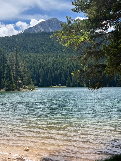 The image captures a scenic view of a lake with a mountainous backdrop. In the foreground, a shoreline of sand and pebbles is visible, with gentle waves lapping the shore. The water of the lake is a turquoise-green hue, reflecting the sky and surrounding trees. A single rock sits in the shallow water near the shore.
In the mid-ground, the lake extends towards a densely forested hillside, composed of numerous evergreen trees. Scattered amongst the trees on the lakeshore are a few small structures, one appearing to be a small wooden cabin or shelter with a thatched roof. A person is visible sitting on the shore near this structure. Further in the distance, other small buildings or shelters can be observed, suggesting a recreational area or a small settlement.
Dominating the background is a majestic mountain peak, its rocky slopes partially covered in sparse vegetation and patches of snow. The sky above is a clear blue, punctuated by fluffy white clouds. The overall scene suggests a serene natural landscape, likely a popular tourist destination within the municipality of Pitomine, Montenegro, known for its natural beauty and outdoor activities.