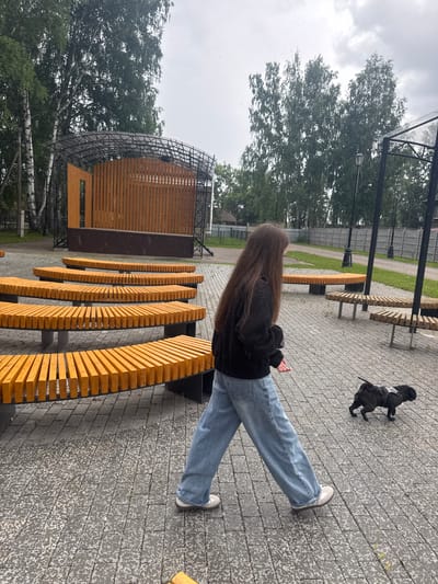 In Chastyye, Russia, on a wet paved area, a young woman with long brown hair, wearing a black hoodie and baggy blue jeans, walks away from the viewer. She is on a leash, which is held by a small, black dog in a harness. The dog is moving away from the woman and toward the right side of the frame. The background features a curved wooden stage with a metal frame, surrounded by tiers of orange wooden benches. Trees line the perimeter of the area, and streetlights are visible. The sky is overcast and it appears to be raining.