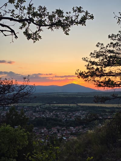 The image presents an elevated panoramic view of the village of Stob, Bulgaria, at sunset. In the immediate foreground, dark, silhouetted branches of an oak tree frame the upper left and center, while branches of a pine tree frame the upper right and center-right, along with other dark, leafy vegetation in the lower foreground. The sky, a dominant feature, displays a gradient of colors characteristic of sunset, transitioning from a pale blue at the top to warm yellows, oranges, and reds near the horizon. Scattered clouds, illuminated by the setting sun, are visible across the sky.
In the mid-ground, a prominent mountain range stretches across the horizon, appearing as dark blue silhouettes. The sun's light is intensely bright behind one of the central peaks, casting a golden glow. Below the mountains, a vast valley unfolds, characterized by a mosaic of agricultural fields in shades of green and yellow, interspersed with patches of dark forest.
Nestled within this valley, in the mid-to-lower section of the image, lies the village of Stob. Numerous houses with distinct red-tiled roofs are clustered together, indicating residential areas. Roads and pathways can be faintly discerned winding through the village and surrounding fields. The overall scene is devoid of visible human figures or discernible actions, focusing on the natural landscape and the architectural elements of the village under the sunset sky.