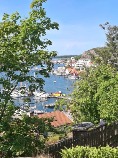 The image captures a scenic view of Fjällbacka, Sweden, on a sunny day. In the foreground, lush green trees partially obscure the view of a charming coastal town. A weathered wooden fence and stone wall delineate a grassy area, leading the eye towards the water. The harbor is filled with numerous boats, predominantly sailboats and yachts, moored in the clear blue water. Buildings with red-tiled roofs and white facades line the waterfront, suggesting a traditional Scandinavian architectural style. A rocky, tree-covered hill rises in the background, overlooking the town and the harbor. The sky is a clear, vibrant blue, indicative of pleasant weather.