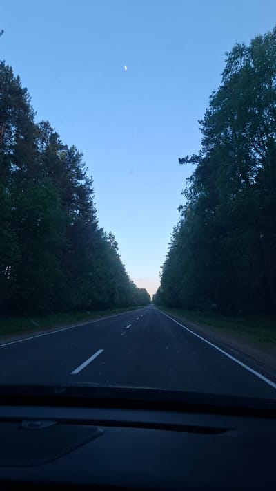 The image shows a road in a rural setting, likely within or near Сваткаўскі сельскі Савет, Belarus. The road is asphalt, with white lane markings. It is bordered by dense trees on both sides, creating a tunnel-like effect. The sky is light blue with a crescent moon visible. The photograph appears to have been taken from inside a vehicle.