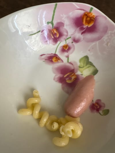 The image shows a white ceramic bowl with a floral pattern of pink orchids. In the center of the bowl are several pieces of spiral-shaped pasta and a single, small, pinkish sausage. The lighting suggests indoor conditions, likely in a domestic setting. There is no indication of the location being in Kuvshinovo, Russia, or any specific city.