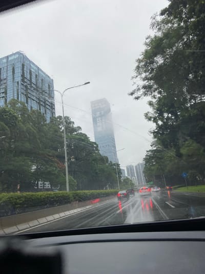 The image depicts a view from a vehicle driving on a wet road in Luohu District, China, under overcast skies. Rain streaks are visible on the windshield. The scene is characterized by tall modern buildings with glass facades, lush green trees lining the roadside, and a multi-lane road with several vehicles. Red brake lights are reflected on the wet asphalt, indicating active traffic. A street lamp is visible on the left side of the road, and a blue traffic sign is positioned on the right. The overall atmosphere is somber due to the rain and cloudy weather.