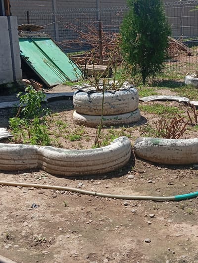 The image depicts an outdoor scene in Budyonnovka, Kyrgyzstan, likely a backyard or a garden area. The foreground is dominated by a series of repurposed tire planters filled with soil and some sparse vegetation. In the middle ground, a tall evergreen tree stands, with a wire mesh fence visible behind it, bordering the property. To the left, a portion of a concrete structure and a leaning green metal sheet are present, suggesting construction or storage materials. The ground is a mix of soil, small stones, and some patches of grass. A green garden hose lies across the dirt in the lower right portion of the image. The overall impression is of a somewhat unkempt but functional outdoor space.