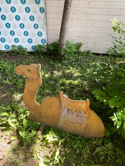 The image shows a wooden camel sculpture placed on the ground amidst lush green vegetation. The sculpture is carved in a sitting position and appears to be weathered. Behind the sculpture, a white wooden fence serves as a backdrop, and a banner with circular logos is affixed to a surface to the left. A tree trunk is visible near the fence. The ground is covered with grass, fallen leaves, and scattered debris. The lighting suggests it is daytime with sunlight filtering through the foliage, creating dappled shadows. The location is specified as Obninsk, Russia. There are no people visible in the image.