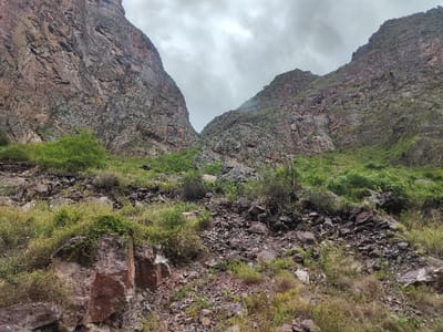 The image presents a rugged and expansive mountainous landscape, likely a valley or gorge, under a heavily overcast sky. Two imposing mountain faces dominate the scene, rising steeply on either side and converging towards a distant point in the center, forming a deep V-shape.

The mountains are characterized by their rough, craggy textures and a palette of reddish-brown, grey, and darker earthy tones. Geological striations and varied rock formations are visible across their surfaces. The ground in the foreground and midground is densely covered with an assortment of rocks and boulders, ranging in size. Interspersed among the rocky terrain are numerous patches of green vegetation, including bushes, grasses, and small trees, clinging to the slopes and crevices. This sparse yet resilient plant life provides a contrast to the barren rock.

The sky is completely covered by thick, grey clouds, indicating an overcast day. The lighting is diffused and even, suggesting either early morning, late afternoon, or simply persistent cloud cover, rather than direct sunlight. No people, animals, or man-made structures are visible, emphasizing the untouched natural quality of the environment. The overall impression is one of raw, untamed nature, characteristic of the mountainous regions around Ollantaytambo, Peru, known for its dramatic Andean scenery.
