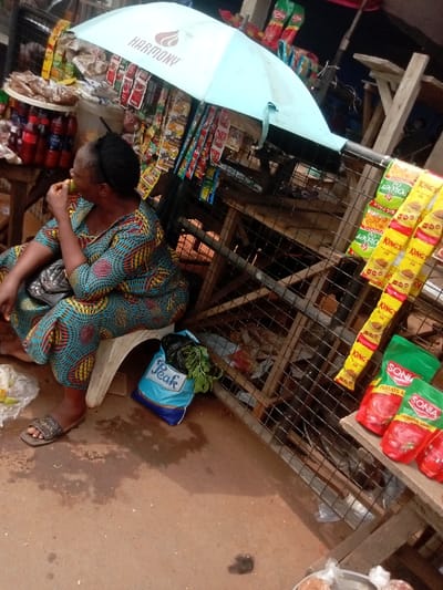 An outdoor market scene in Umudioka, Nigeria, shows a seated adult female at a merchandise stall. The woman, wearing a patterned teal, yellow, red, and black dress and brown sandals, is positioned on a white plastic stool, facing left and appearing to eat a light green fruit or vegetable. A black shoulder bag rests on her lap. Beside her, a blue "Peak" branded bag contains green leafy vegetables on the reddish-brown ground, which exhibits several dark, wet stains.
Above the woman and extending across the frame, a light blue umbrella, branded "HARMONY," shades a display of various goods. Hanging from the umbrella's frame and a metal grid structure are numerous small sachets of spices or condiments, yellow and green packaged snacks (some labeled "KING'S"), and red pouches identified as "SONIA TOMATO MIX." To the left, bottles of beverages, including "ADAMA" brand, are arranged on a wooden table. The stall structure is composed of wooden planks and metal mesh, supporting additional merchandise in the background.