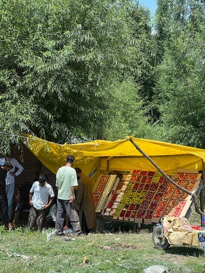 The image depicts an outdoor fruit stand in Ujroo, India. A vibrant yellow tarp covers a makeshift stall laden with an abundant display of apples. The apples are neatly arranged in cardboard crates, showcasing a variety of colors including red, green, and yellow. Several individuals are gathered around the stall, appearing to be engaged in commerce or conversation. Some are standing and looking at the fruit, while others are bent down, possibly inspecting or organizing the produce. Behind the fruit stand, a rustic wooden structure and dense green foliage from trees create a natural backdrop. In the foreground, the ground is covered with grass and scattered debris. A wheeled cart, covered with a patterned cloth, is parked near the stall. The scene suggests a bustling local market where fresh produce is being sold.