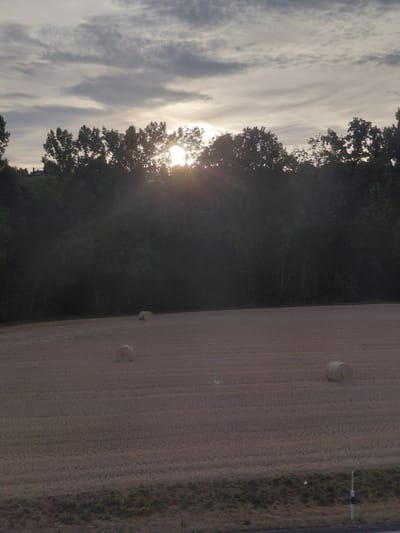 A telephoto shot captures a late afternoon or early evening scene in Ecublens, Switzerland. The sky is overcast with wispy grey clouds, and the setting sun peeks through the dense treeline in the background, casting a warm glow and visible sunbeams. In the foreground, a field of harvested crops, likely straw or hay, is dotted with three round hay bales. The field stretches towards the treeline, which forms a dark, imposing wall of foliage. A small section of a road and a ditch with sparse vegetation are visible at the very bottom of the frame, suggesting the field is bordered by infrastructure.