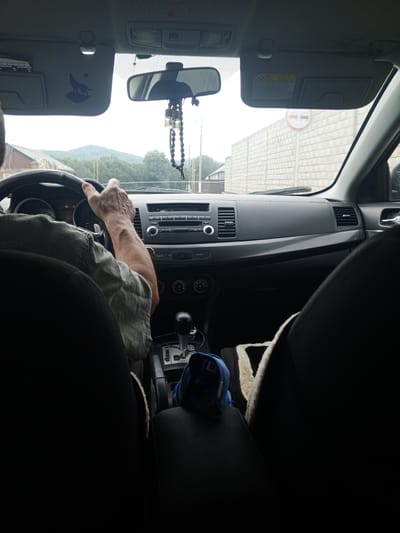 The image is taken from inside a vehicle, looking forward at the driver and the dashboard. A person's hands are visible on the steering wheel, with the right hand extended to grip the wheel. The driver is wearing a grey short-sleeved shirt. The dashboard includes a car stereo, air vents, and a gear shifter. A blue item, possibly a cloth or bag, is resting on the center console. Outside the car, through the windshield, a brick wall and trees are visible under an overcast sky. The location is identified as Tevzana, Russia.