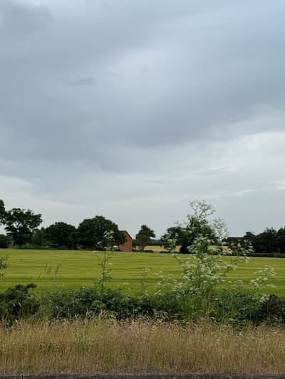 The image depicts a rural landscape in Ipswich, United Kingdom, under a cloudy sky. To the right of the frame, a field of green grass stretches toward a line of trees and shrubbery. Along the edge of the field is a patch of tall, dry grass, with some white flowering plants interspersed within the greenery. In the distance, a red brick building can be seen among the trees. The dominant feature is the overcast sky.