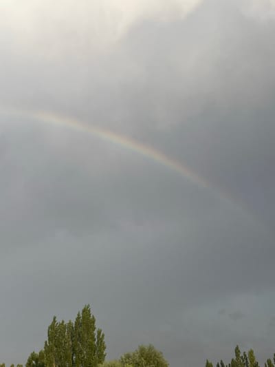 The image captures a portion of the sky above Bujum, Kyrgyzstan. A faint rainbow arcs across the overcast, gray sky. Below the sky, the tops of several tall, green trees are visible against the dark clouds. The trees appear to be deciduous, with dense foliage. The scene suggests a post-rain or approaching stormy weather condition. There are no people or specific objects of interest other than the natural elements. The lighting is diffused due to the cloud cover.
