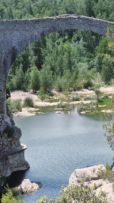 An aged stone bridge spans a body of water, with lush green trees and vegetation covering the background. The bridge, constructed of grey stones, exhibits an arched shape and appears weathered with some stones missing from its top. The water below is calm, reflecting the surrounding greenery and sky, with scattered rocks and patches of grass emerging from its surface near the edges. On the left side of the frame, a rocky cliff face descends to the water, with a narrow stone pathway or ledge built into its side. The scene is set in a natural environment, likely a rural or park area, given the abundant foliage and the rustic nature of the bridge. The overall impression is one of natural beauty and historical architecture. This scene is located in the city of Tortellà, Spain.